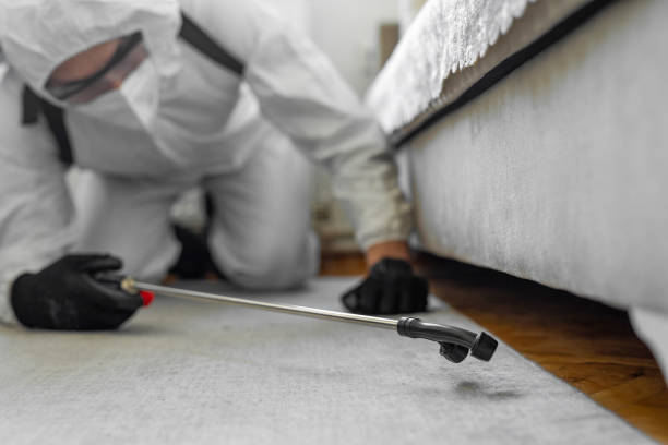 Professional Bed Bug Control technician working in Claremont, NC
