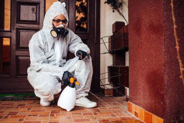 Reliable Bed Bug Control contractor in Claremont, NC by Nex Pest Control